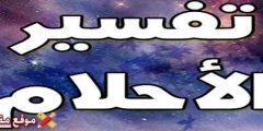 تفسير رؤية صيد السمك في المنام للعزباء والمتزوجة أشمل 13 تفسير