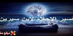 تفسير رؤية ضرب القطة في المنام للمتزوجة والعزباء أهم 13 تفسير