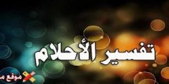 تفسير رؤية قط ينكح قطة في المنام للعزباء والمتزوجة أشمل 13 تفسير