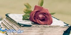 عبارات شكر وتقدير للمعلمات أفضل عبارات شكر للمعلمات المتميزات 2025