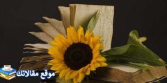 عبارات صباحية جميلة للحبيب أفضل عبارات صباحية جميلة وقصيرة 2025