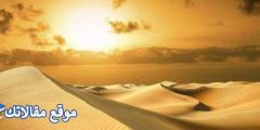 عبارات عن الأم والأب للواتس والفيس أجمل كلام عن الأب والأم 2025