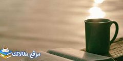عبارات وكلمات جميلة عن الحياة أجمل عبارات قصيرة ومعبرة عن الحياة 2025