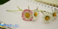 كلام حلو عن الصباح أقوي عبارات رقيقة عن الصباح 2025