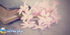 كلام عن القوة والتحدي والشجاعة أروع الأقوال والحكم عن القوة