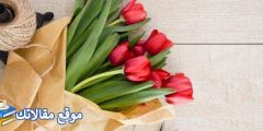 أجمل ماقيل في الغزل عند العرب واجمل ما قيل في غزل النساء 2025