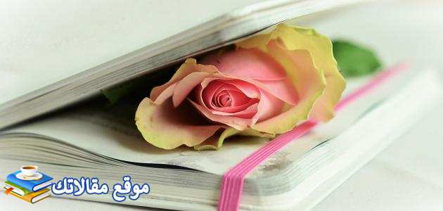 جمل عن النجاح والطموح بالإنجليزي أفضل عبارات عن النجاح قصيرة