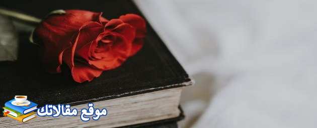 عبارات جميلة عن الأخوات أجمل عبارات قصيرة عن الأخوات 2025