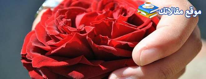 كلام عن الحب الحقيقي قصير أجمل رسائل عن الحب 2025