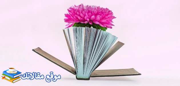 كلمات في عيد الحب للحبيب والزوج أجمل كلمات عيد الحب للحبيبة 2025