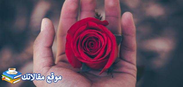 أقوال صدام حسين الشهيرة أفضل عبارات صدام حسين قصيره 2025