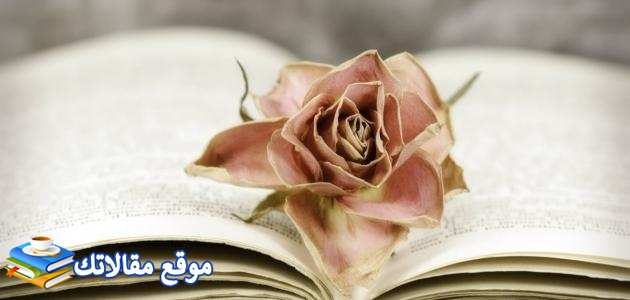 اقوال أبو بكر الصديق عن الصبر أجمل عبارات ابو بكر الصديق 2025