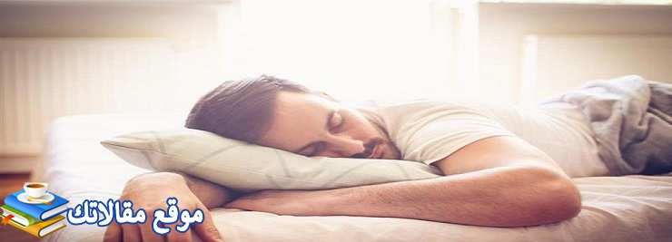 أهم 12 تفسير الوزغ في المنام للعزباء والمتزوجة والرجل