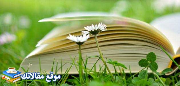 كلمات عن الهمة العالية أجمل عبارات جميلة عن الهمة 2025
