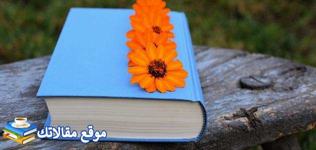 كومنتات على الصور الشخصية 10 عبارات تكتب على الصور الشخصية 2025