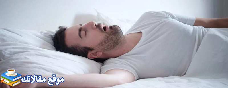 شاهد تفسير حلم الفيل يطاردني للعزباء والمتزوجة والرجل