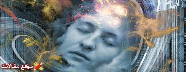 تفسير رؤية الكلاب تلاحقني في المنام للعزباء