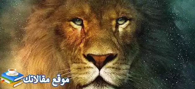 توافق برج القوس مع الأسد في الزواج والحب بالعيوب والمميزات 2025
